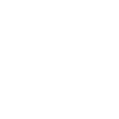 Luca Cipicchia, Digital Professional